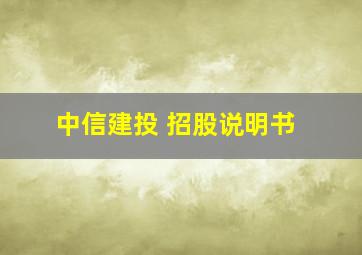 中信建投 招股说明书